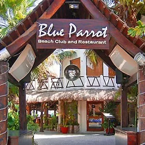 **** Hotel Blue Parrot México